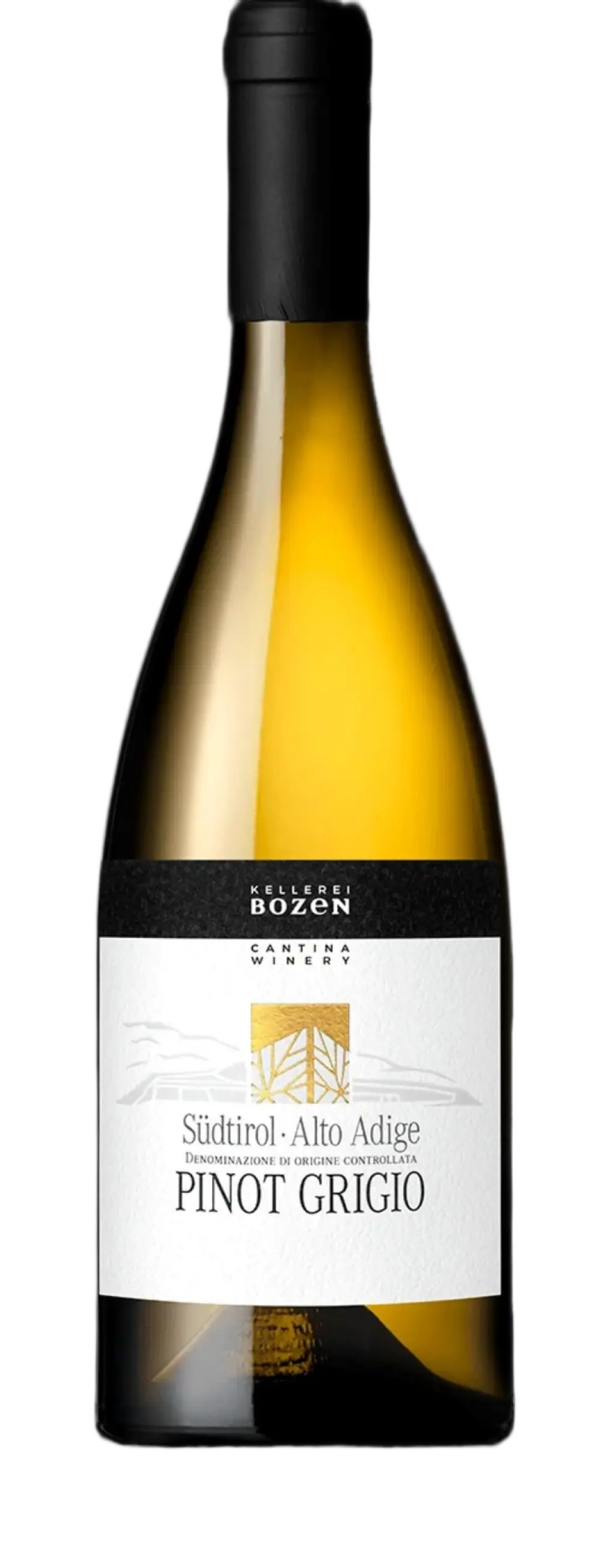 Pinot Grigio Südtirol