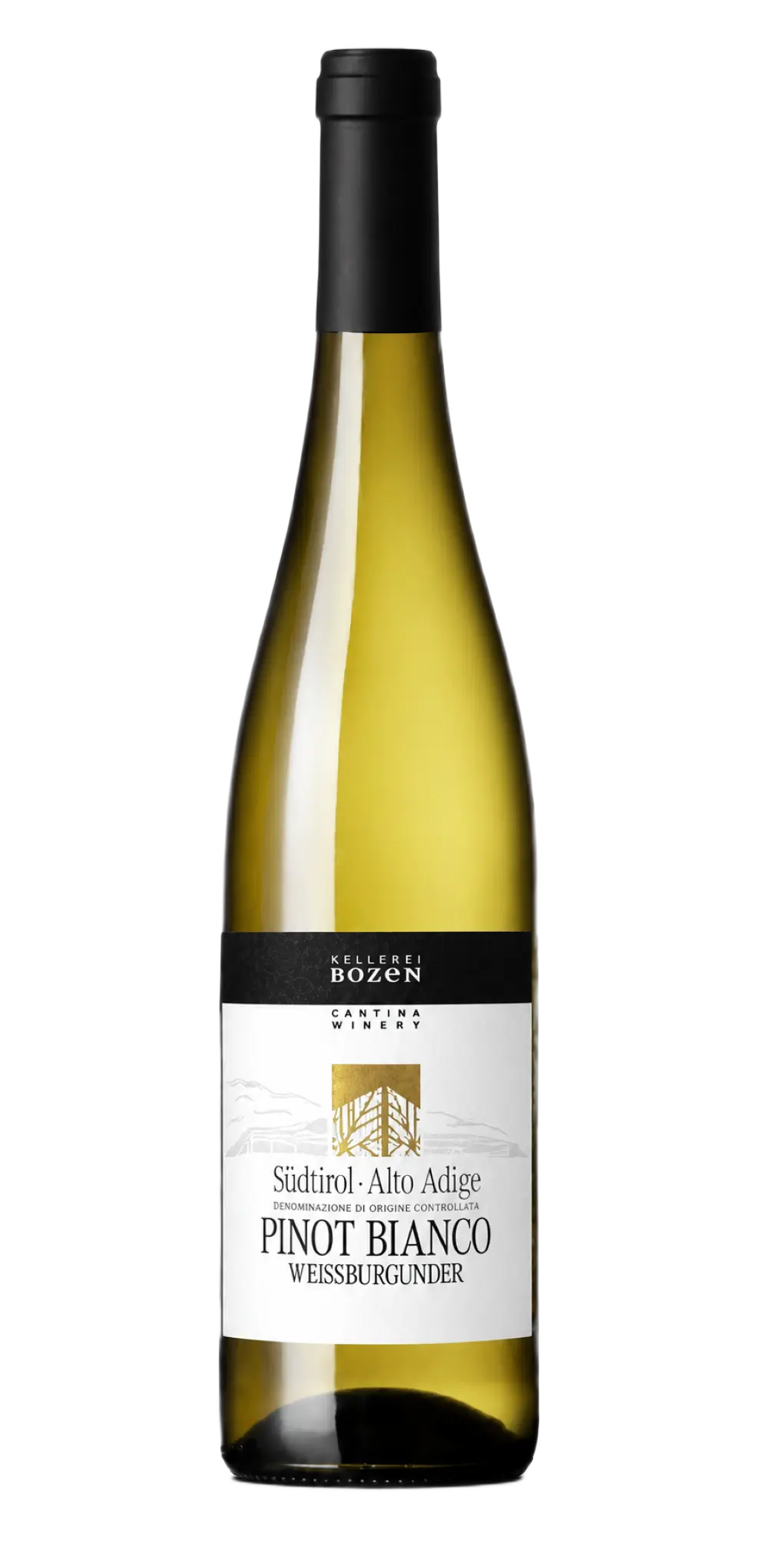 Weißburgunder / Pinot Bianco Südtirol